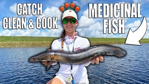 Invasive Fish with Medicinal Benefits - Catch Clean & Cook Snakehead