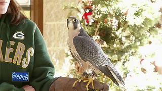 Bay Beach Wildlife Sanctuary offers winter activities