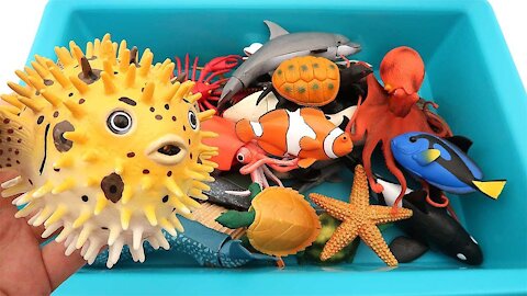 Sea Animals Toys For children