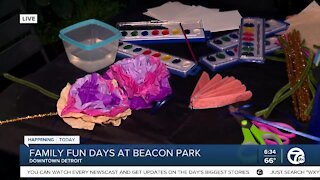 Family Fun Days at Beacon Park