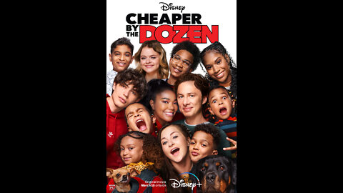 Cheaper By The Dozen - Movie Review