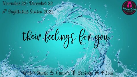 🌊 Water Signs: ♋️Cancer, ♏️Scorpio, ♓️Pisces:🗣️Their Feelings for you! 🌟[♐️ Sagittarius Season 2022]