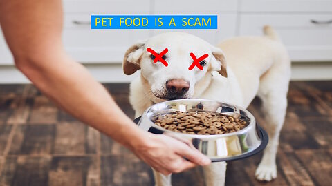 Pet Food is a Scam