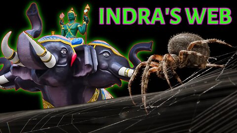 Indra's Web Unraveled: The Connection Between Spiders and the Ancient Buddhist Concept
