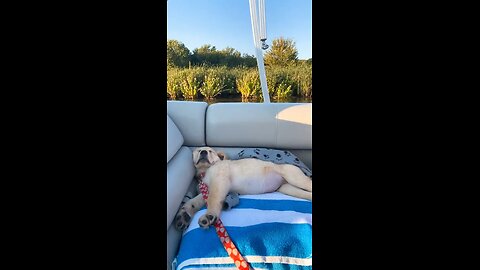 Hard day on the boat