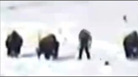 GΙANT (Bigfoot?) vs Buffalo - (Βizarre Trail Cam Fοοtage).. And Other Unbelievable SΙGHTINGS!