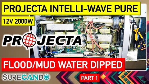 Projecta 12V 2000W Intelli-Wave Pure Sine Wave Inverter Flood mud water. Repair. Fixable_ Part 1