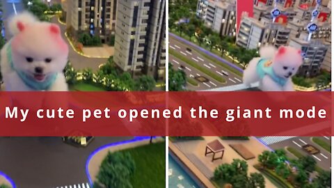 My pet dog opens a giant mode
