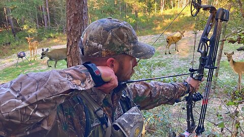 Opening Weekend of Georgia Deer Season 2023 (Multiple Deer Down!)