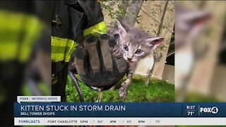 Fort Myers Fire Fighters rescues small kitten