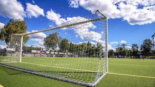 Dog hurtles into goal net while chasing ball