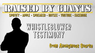 Whistleblower Testimony from Anonymous Source