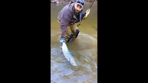 That Look You Get When You Realize How Big The Fish Is! #shorts