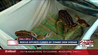 Rescue efforts curbed by "zombie deer disease"
