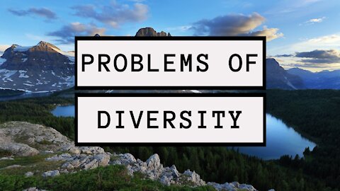 The Problem With Diversity
