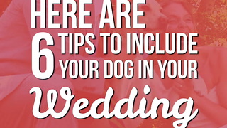 6 Tips on How to Include Your Dog in Your Wedding