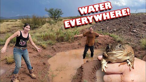 Monsoon Storm TEARS Through Our Property! Rainwater Berms and Basins Put to the Test