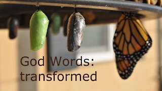 God words: transformed