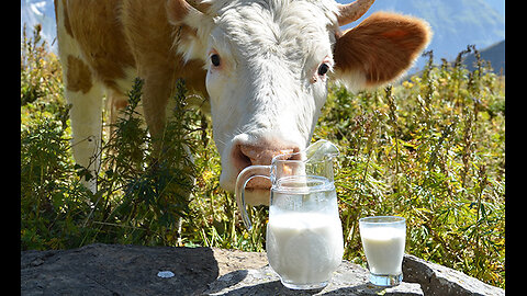 WAT IS DE WERKELIJKE OORZAAK VAN DE ZIEKTEVERWEKKER IN GEPASTEURISEERDE MELK?