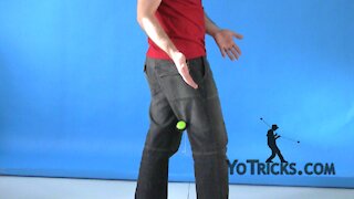 Dog Bite Yoyo Trick - Learn How