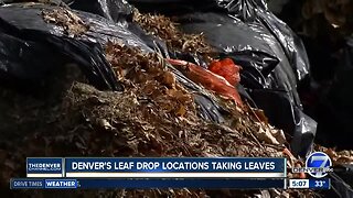 Denver's Leaf Drop locations taking leaves