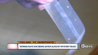 Las Vegas woman battling mighty bug problem