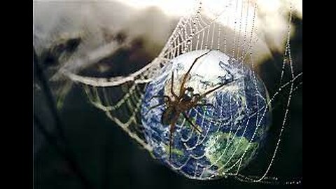 Is the centralised entity that runs the synthetic construct a spider?