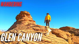 Getting Lost wandering and scrambling up rocks in Glen Canyon with a Golden Retriever!