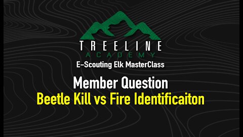 E-Scouting Elk MasterClass Member Question - Beetle Kill vs Fire Zone Identification