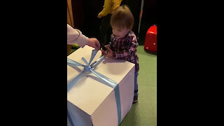 Cute little boy opens secret big present box