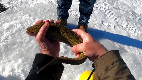 Bows and Burbot - Boysen Reservoir Mid Winter Ice Fishing - Central Wyoming