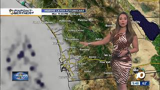 10News Pinpoint Weather with Meteorologist Angelica Campos