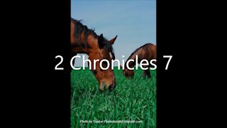 2 Chronicles 7 | KJV | Click Links In Video Details To Proceed to The Next Chapter/Book
