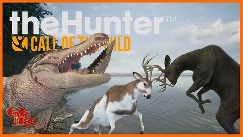 WHITETAIL 🎯 Competition - .243 - Diamond & Rare Hunting - theHunter: Call of the Wild