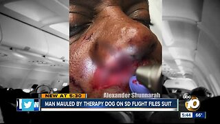 Man files lawsuit after being attacked by dog on flight