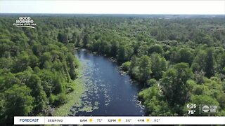 Walking Club: Exploring Lettuce Lake Park