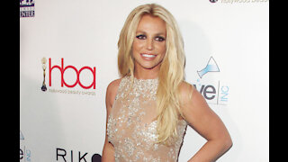 Britney Spears' boyfriend wants to have kids with her