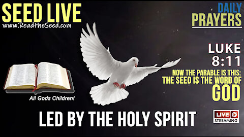 Seed LIVE: In The Holy Spirit; HOW LED US TO NOW! - Tues, June 22nd, 2021