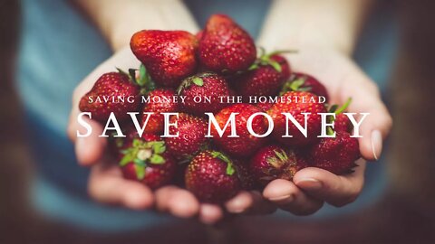 Ways We Save Money on the Homestead