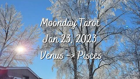 Moonday Tarot - Venus in Pisces - Jan 23