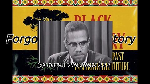 Who Assassinated Malcolm X? #RIZZAISLAM #MalcolmX #MathHoffa