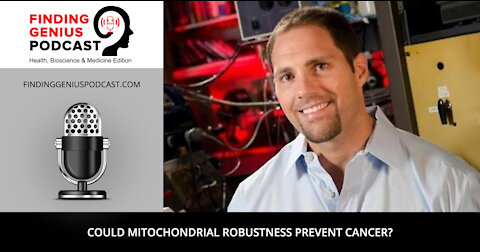 Could Mitochondrial Robustness Prevent Cancer?