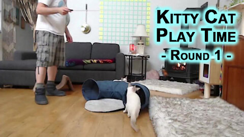 Kitty Cat Play Time: Round 1 - Playing with Sal and Veeya, Our Lilac Lynx Balinese Kittens