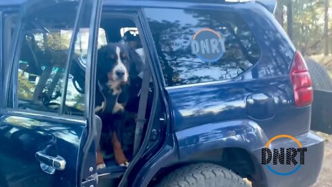 GRAND CANYON OVERLAND WITH MY BERNESE MOUNTAIN DOG•ADVENTURE TO THE NORTH RIM//S1•EPISODE 28