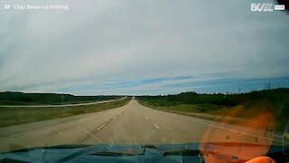 Small bear risks life dashing across road in front of vehicle