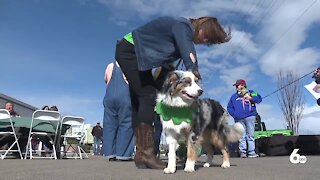 "St. Puptricks Day" provides fun for families and their pets