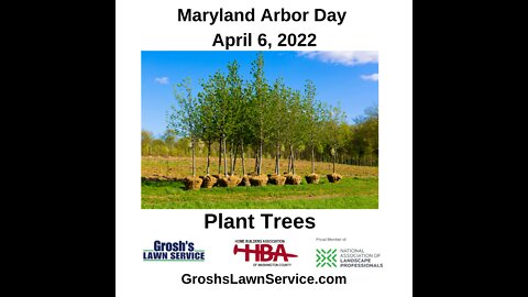 Tree Planting Hagerstown MD Arbor Day 2022 GroshsLawnService.com