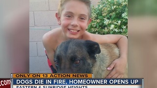 Two dogs die in Henderson house fire