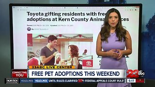 Toyota covering pet adoption fees