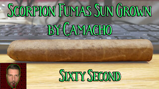 60 SECOND CIGAR REVIEW - Scorpion Fumas Sun Grown by Camacho - Should I Smoke This